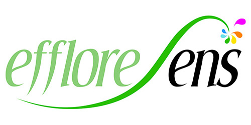 Effloresens