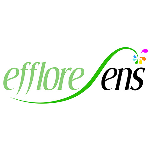 Logo Effloresens Square 512